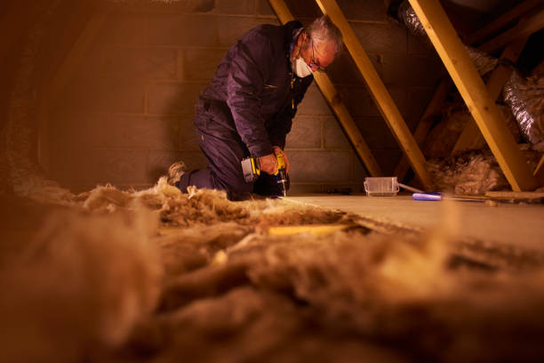 Best Insulation Maintenance and Repair in Waupun, WI